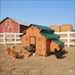 Easicoop Family 5XL - 28 large birds - Easicoop