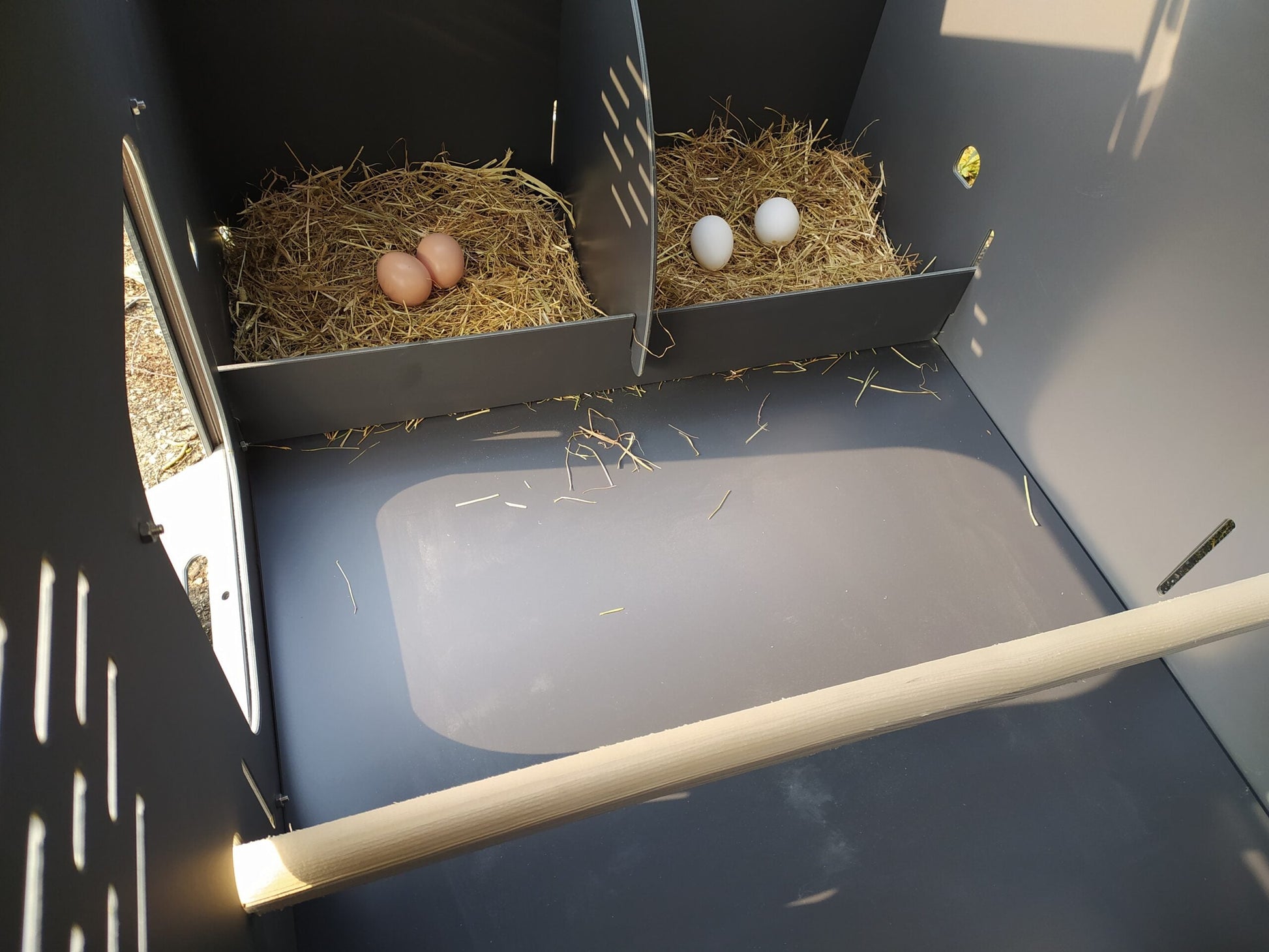 Easicoop Eco - wood finish - up to 6 large chickens - Easicoop